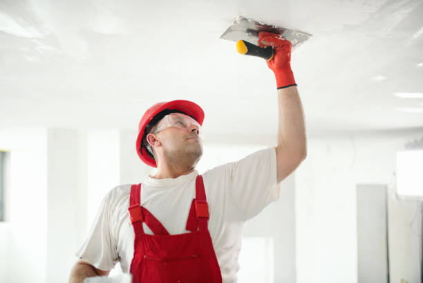Best Emergency Mold Remediation  in Lebanon, OH