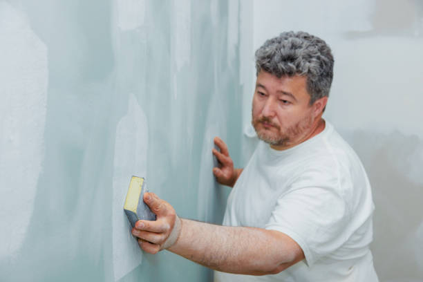 Best Asbestos and Lead Testing During Mold Inspection  in Lebanon, OH