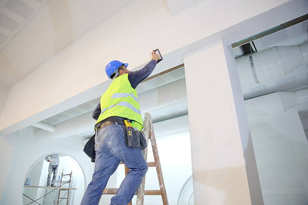 Best Attic Mold Removal  in Lebanon, OH